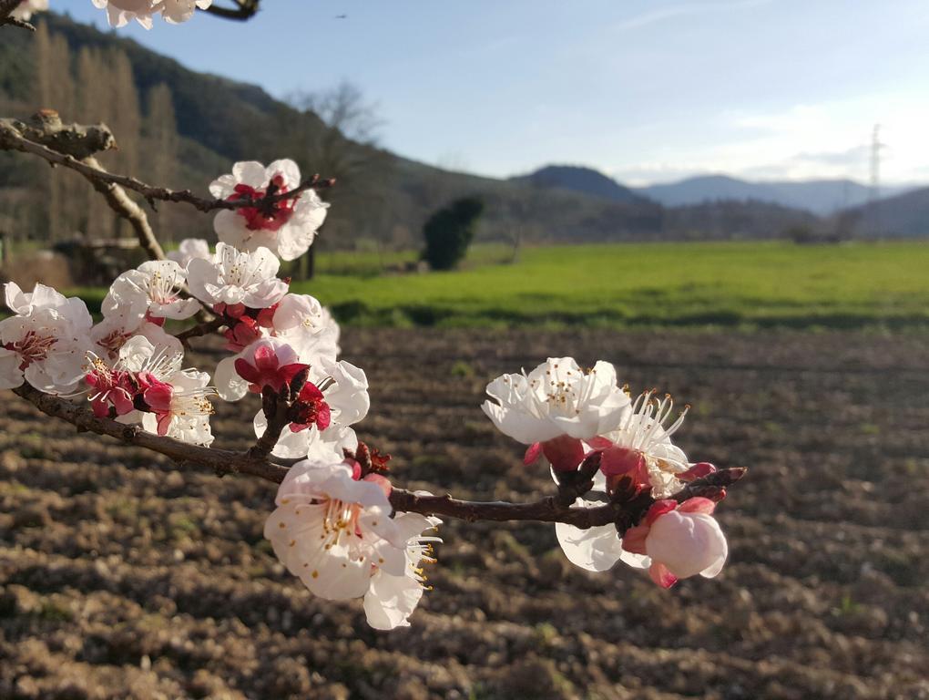 Agriturismo I Terzieri Ferentillo Luaran gambar