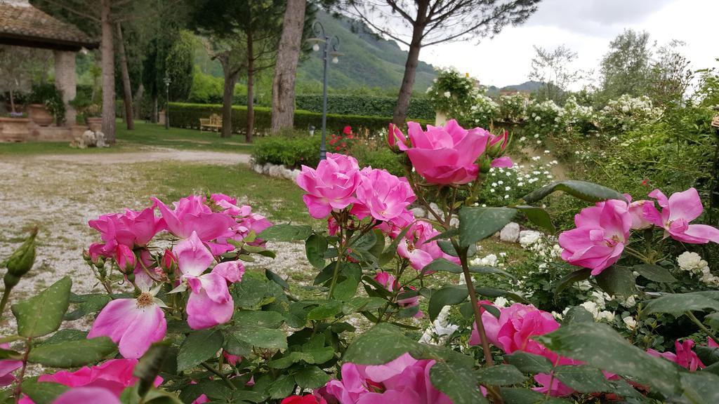 Agriturismo I Terzieri Ferentillo Luaran gambar