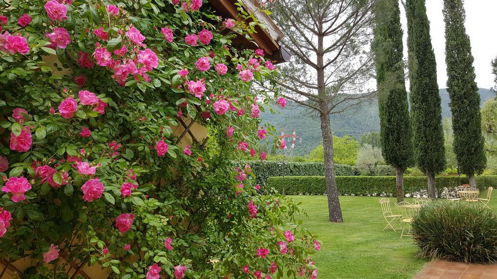 Agriturismo I Terzieri Ferentillo Luaran gambar